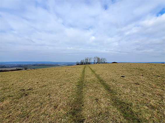 Harting Down