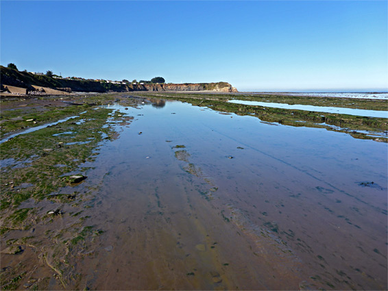 Shallow tidepool