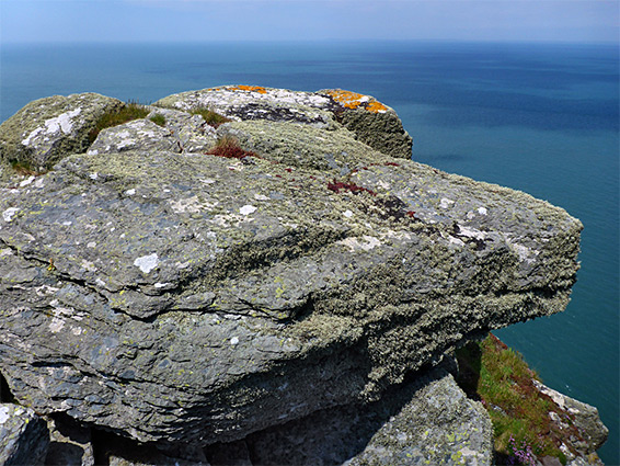 Lichen at Highveer Point