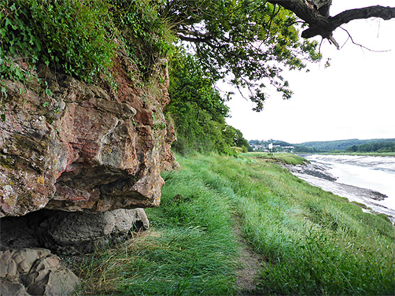 Cliff and saltmarsh