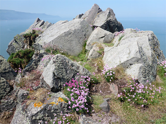 Hurlstone Point