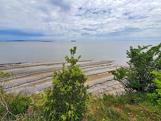 Limestone coastline