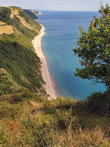 Lower Dunscombe Cliff