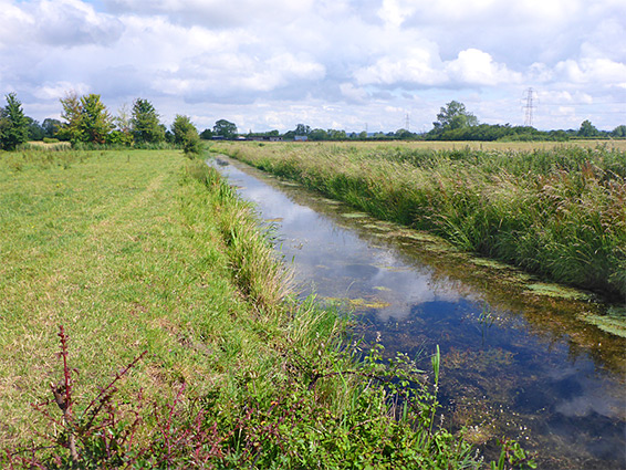 Oldbridge River