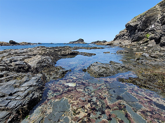 Porth Mear