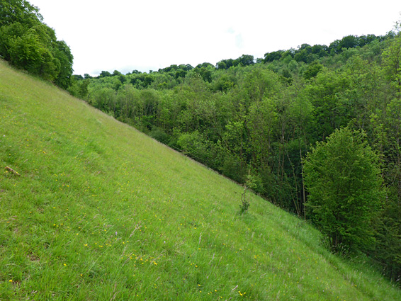 Reserve entrance