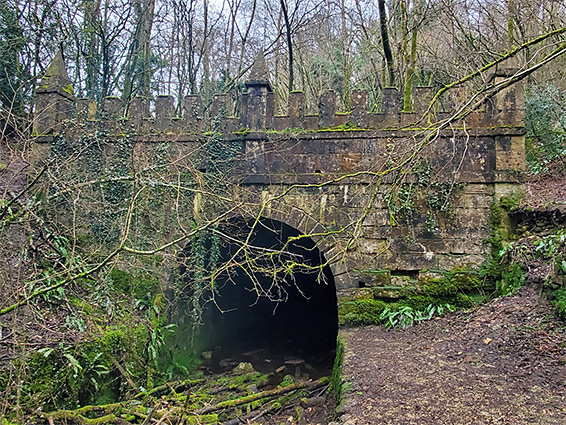Daneway portal