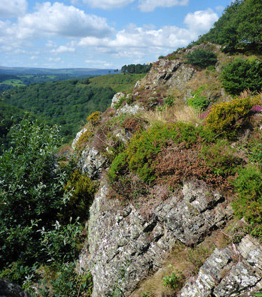 Sharp Tor