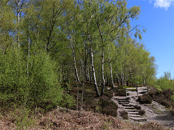 Steps along a path