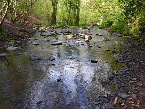 Shallow stream