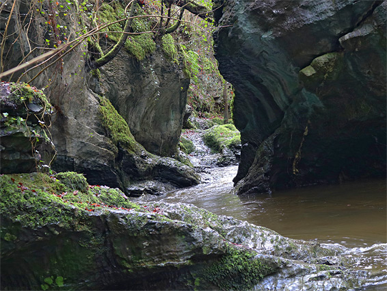 The narrowest place along the river