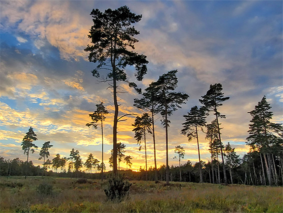 Sunset, west of Vicarage Lane